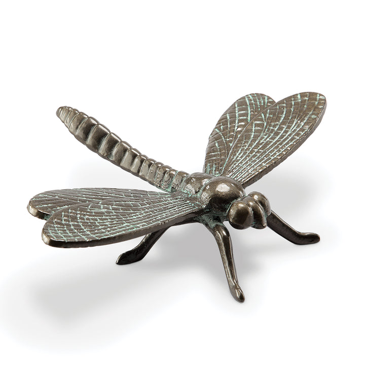 Garden Dragonfly