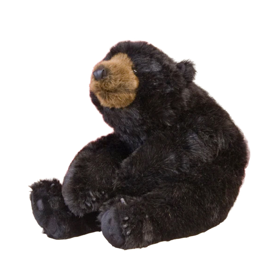 Black Bear Hugs