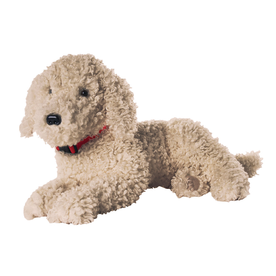 Golden Doodle Dog