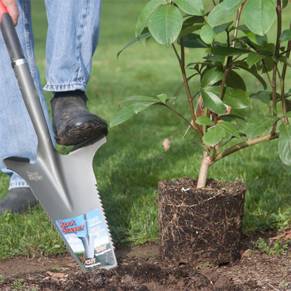 Radius Root Slayer