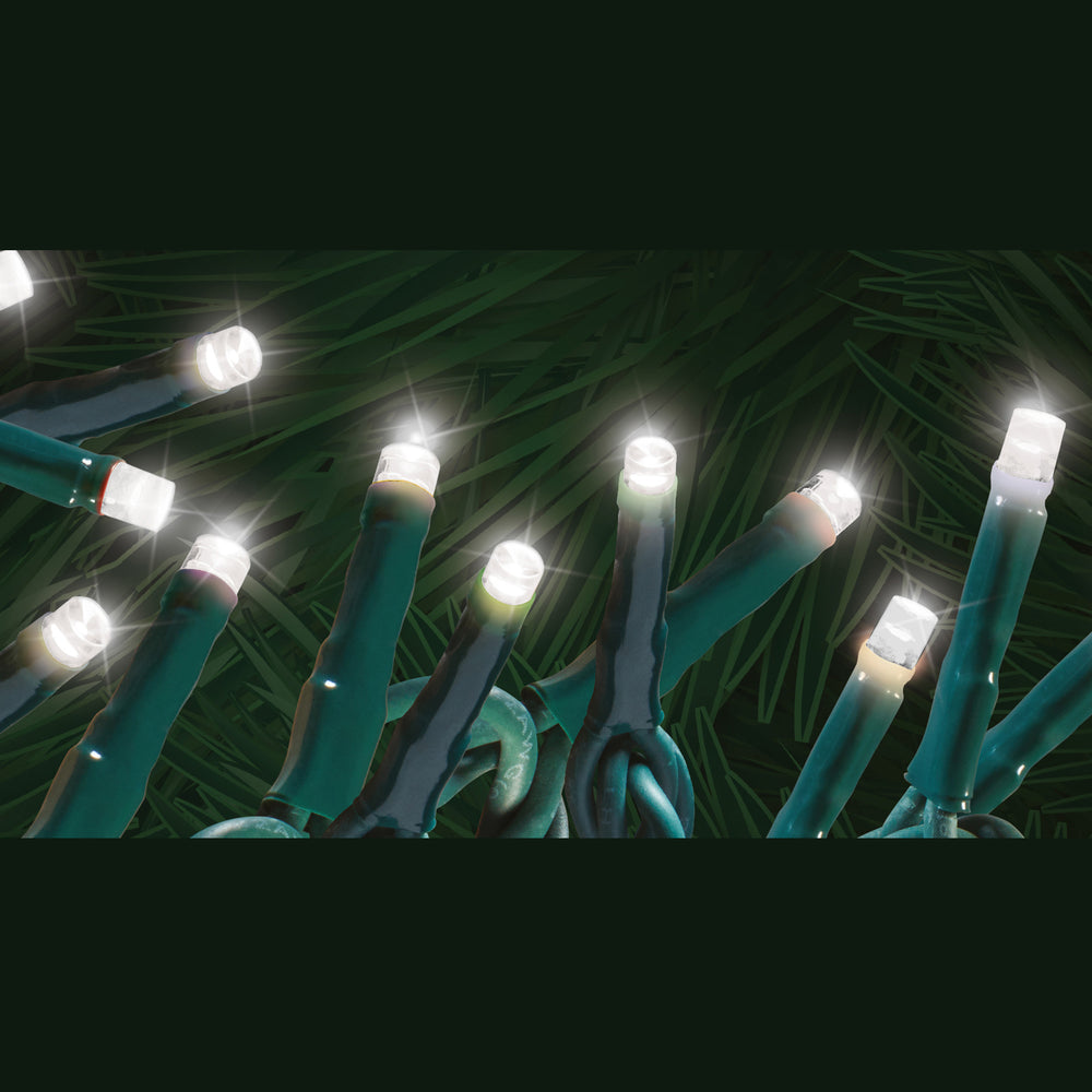 Steady "Starry-Pro Lights" 300L LED String Set