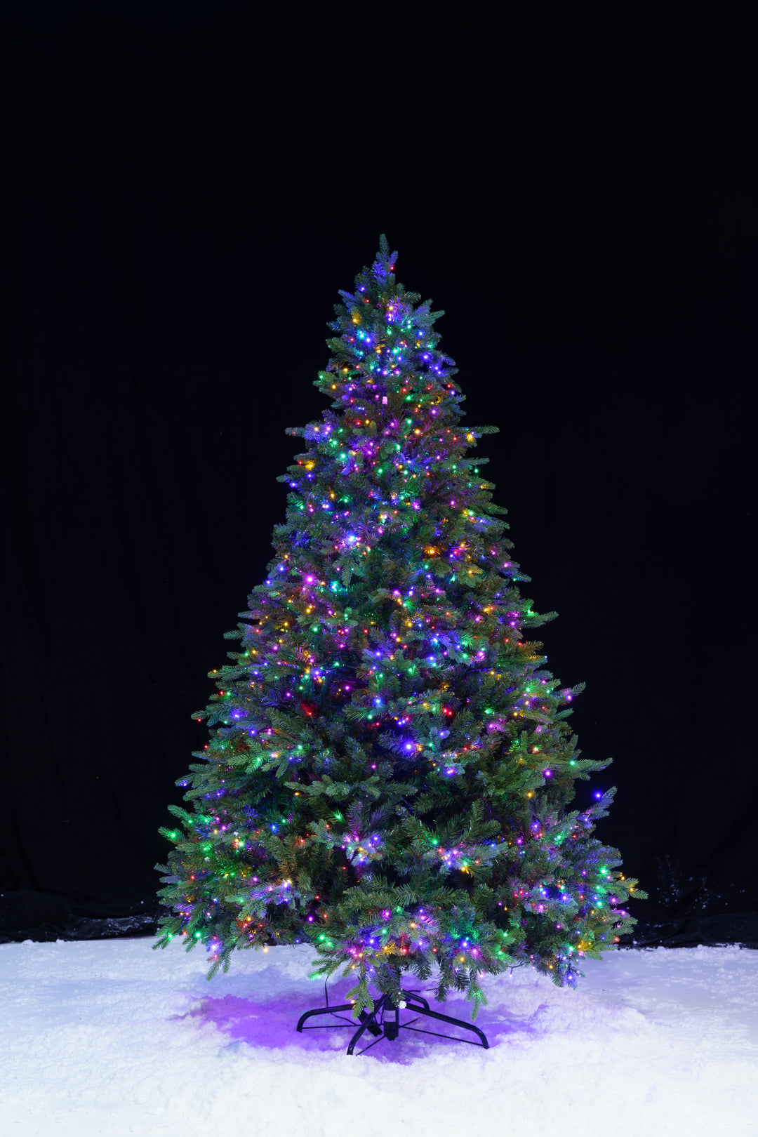 Alberta Spruce DEMO
