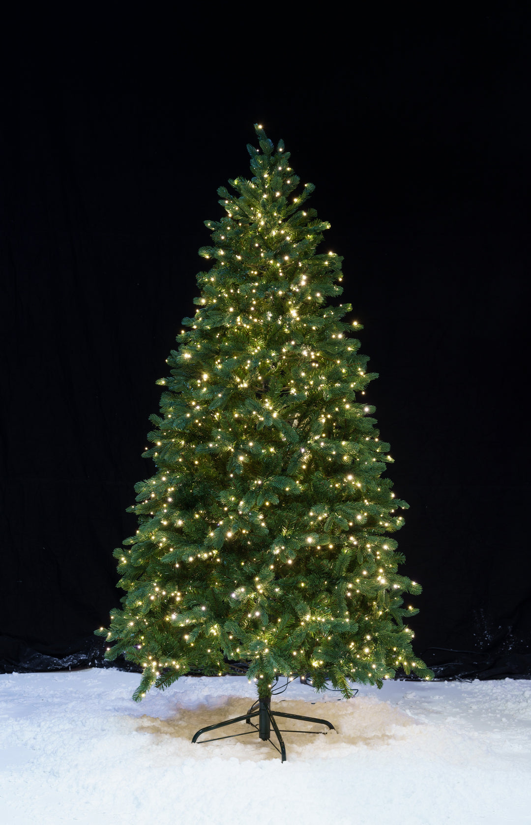 Grand Spruce DEMO