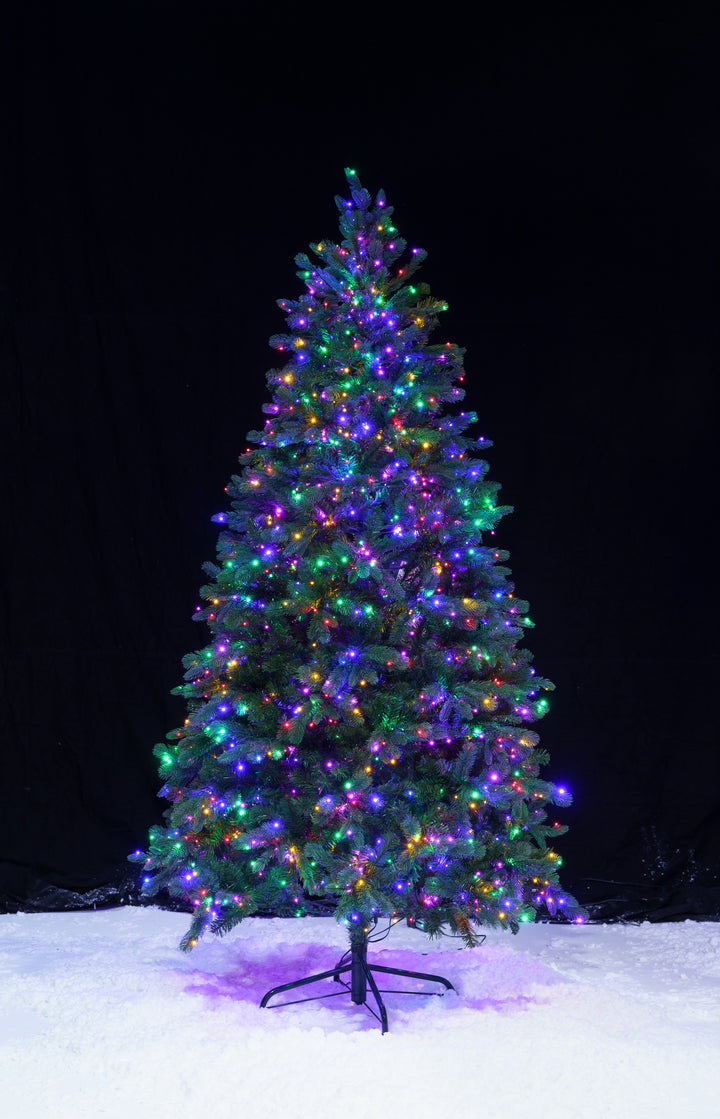 Grand Spruce DEMO