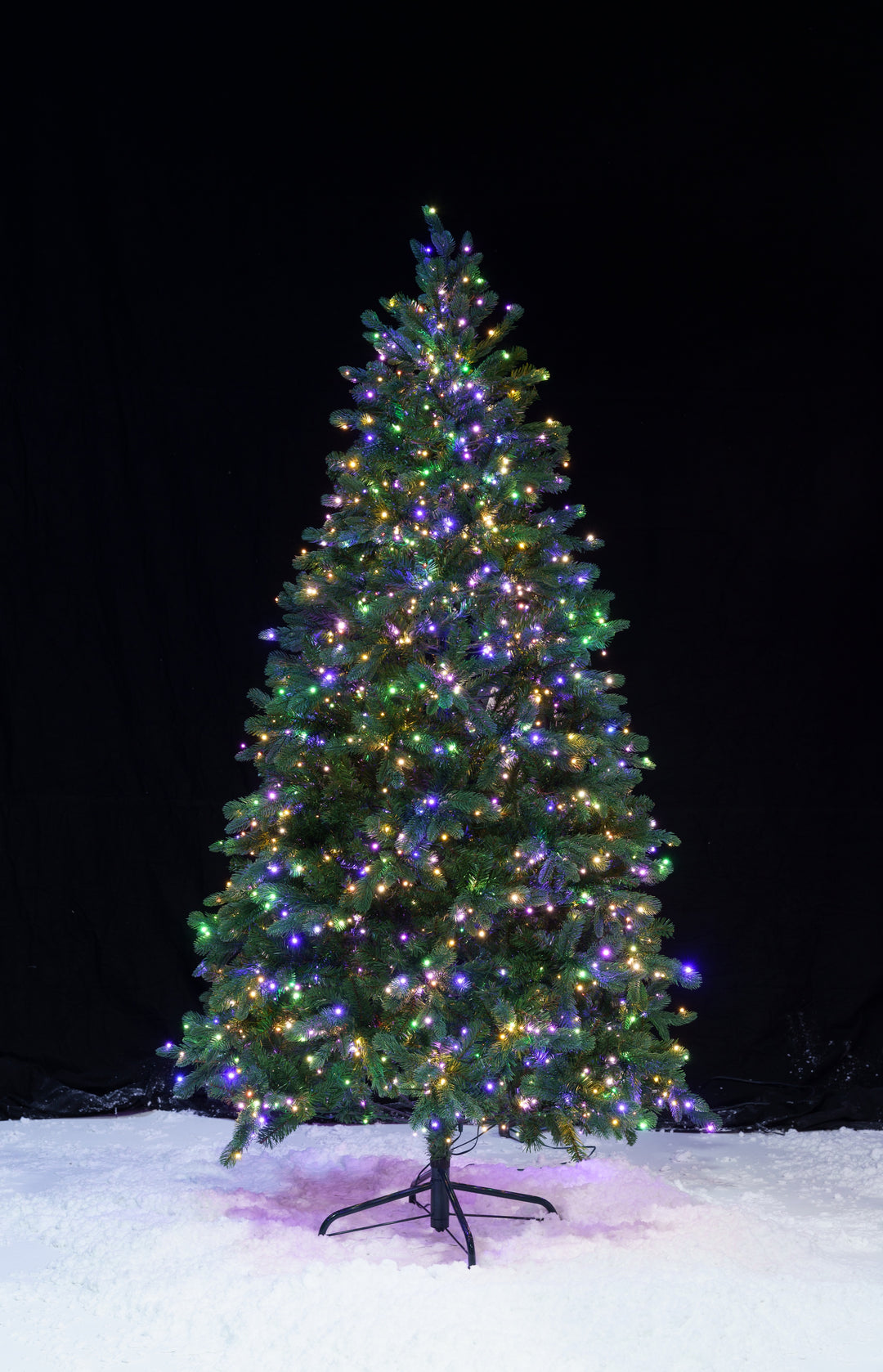 Grand Spruce DEMO