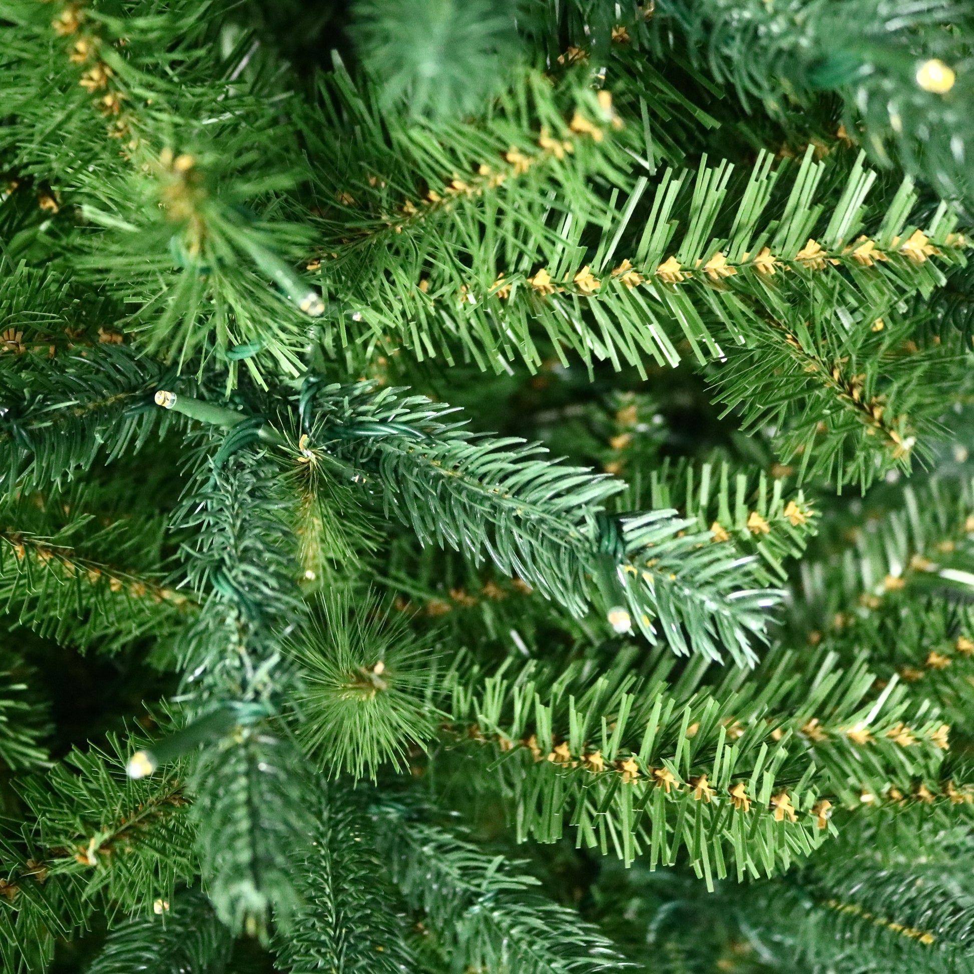 Fraser Fir Life-Like Tree