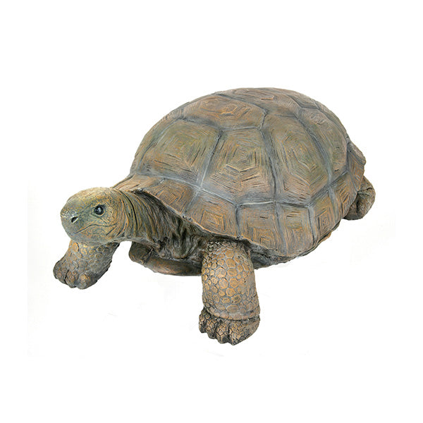 Tortoise Concrete