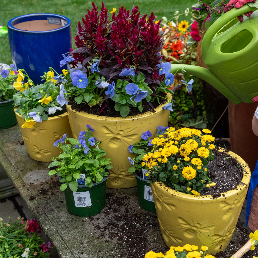 Yellow Ceramic Bee Pot