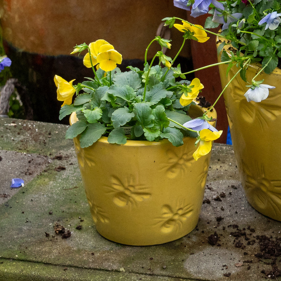 Yellow Ceramic Bee Pot