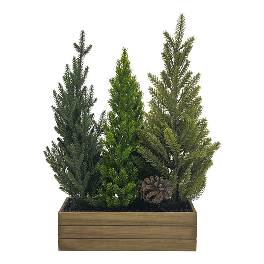 Mini Tree Grove in Box with Pinecone 24"