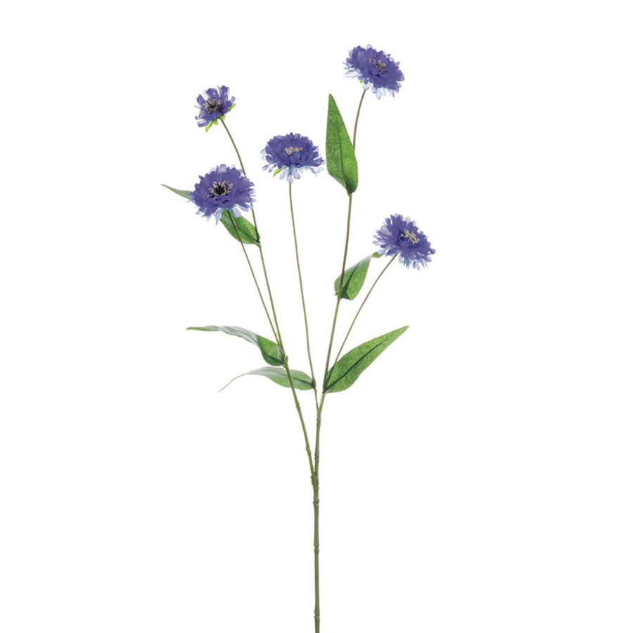 Delphinium Blue Cornflower Spray
