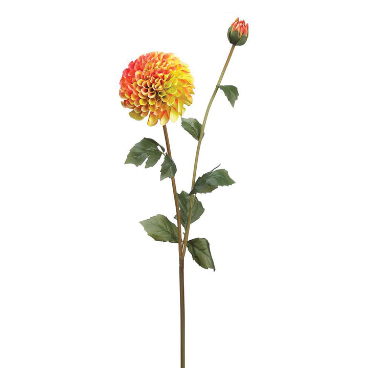 Dahlia & Bud Spray Collection Sunset