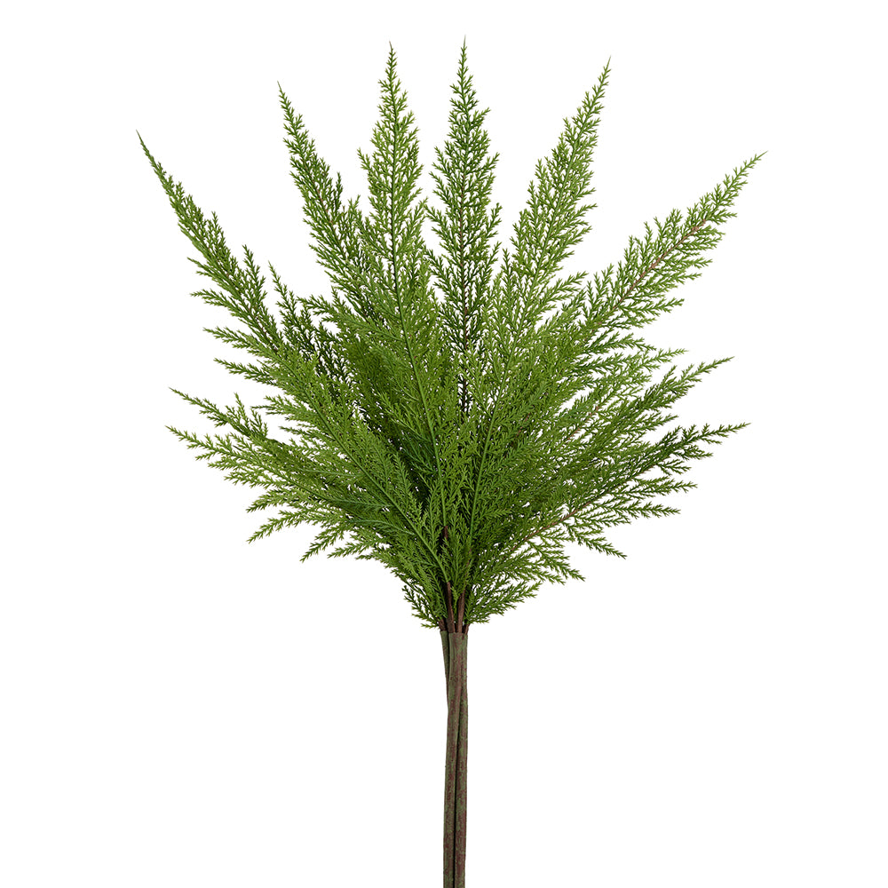 Green Cypress Bundle