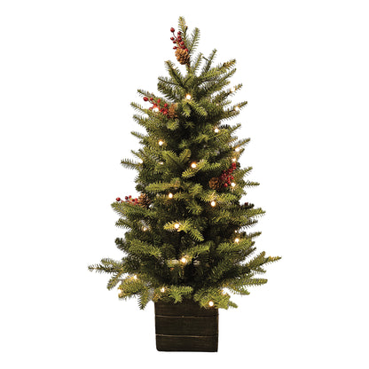 Green Mountain Fir Potted 42"