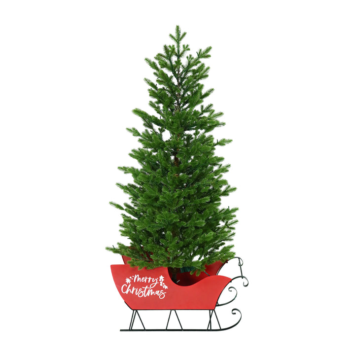 Green Mountain Fir Life-Like Artificial Porch Tree in Sleigh