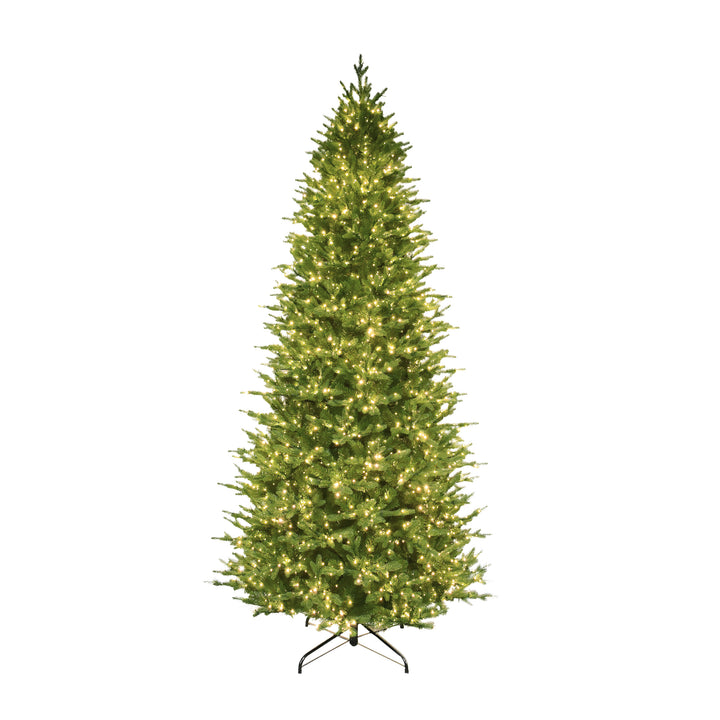 Rocky Mountain Fir Life-Like Artificial Christmas Tree 9 Feet