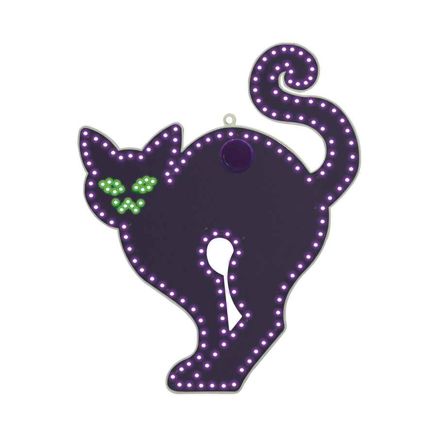 Hi-Vibrant Cat