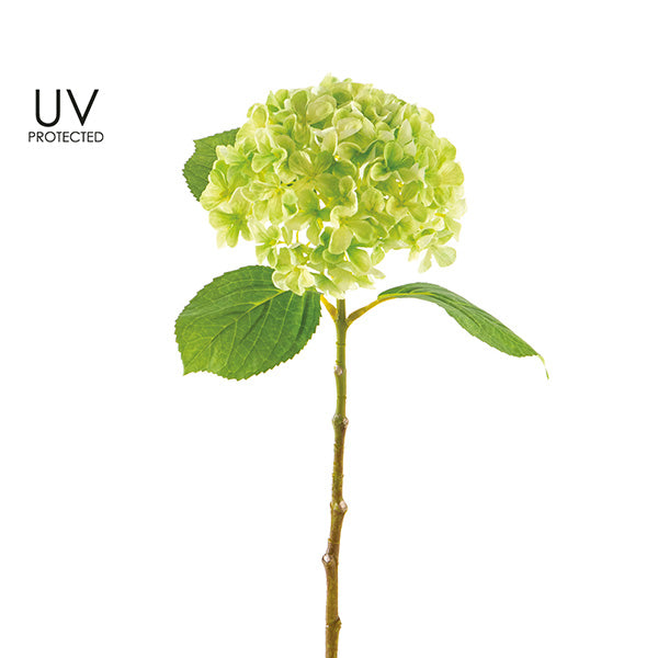 UV Protected Hydrangea Spray Green