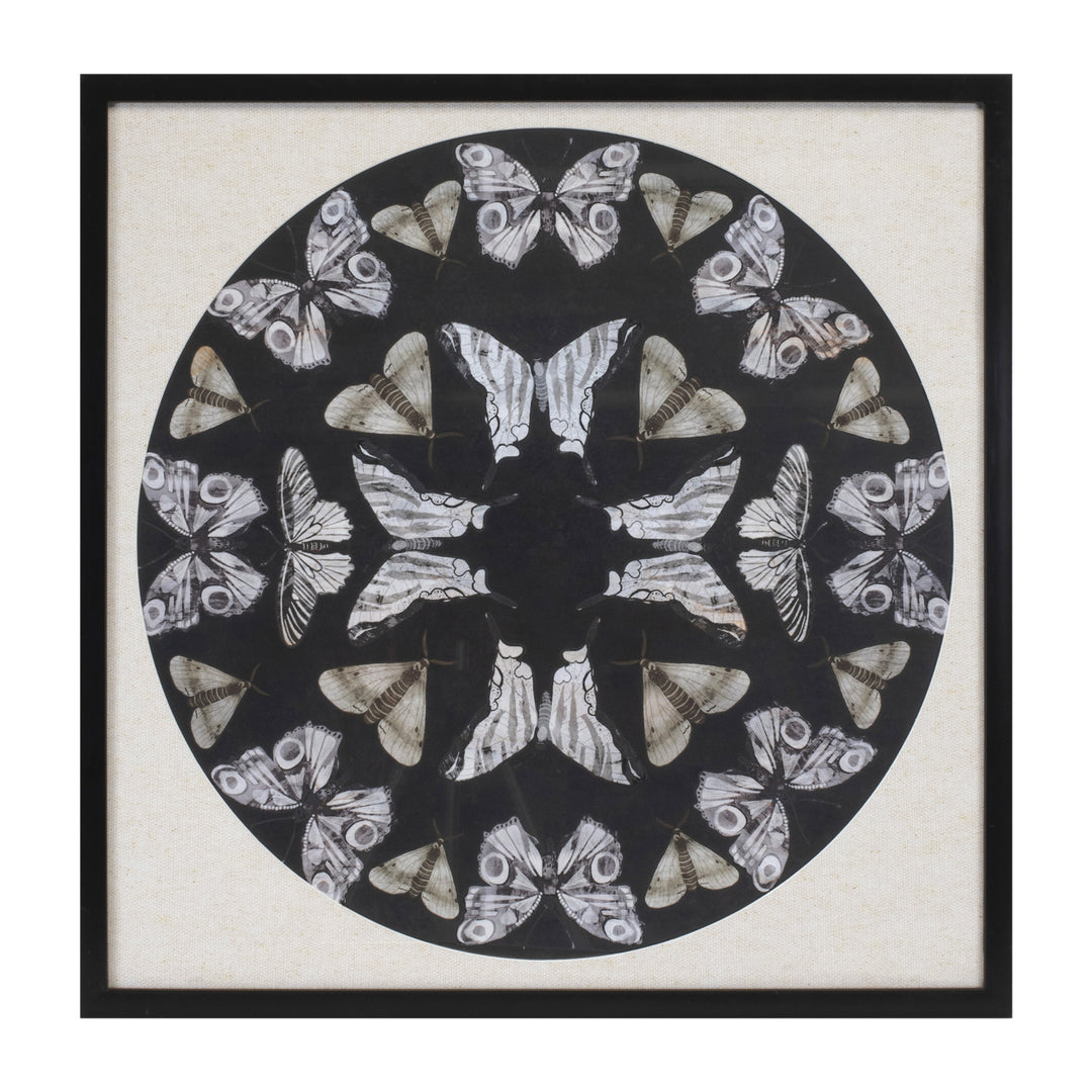 Butterfly Framed Print