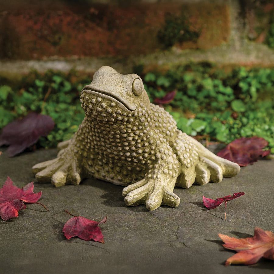 Tommy Toad