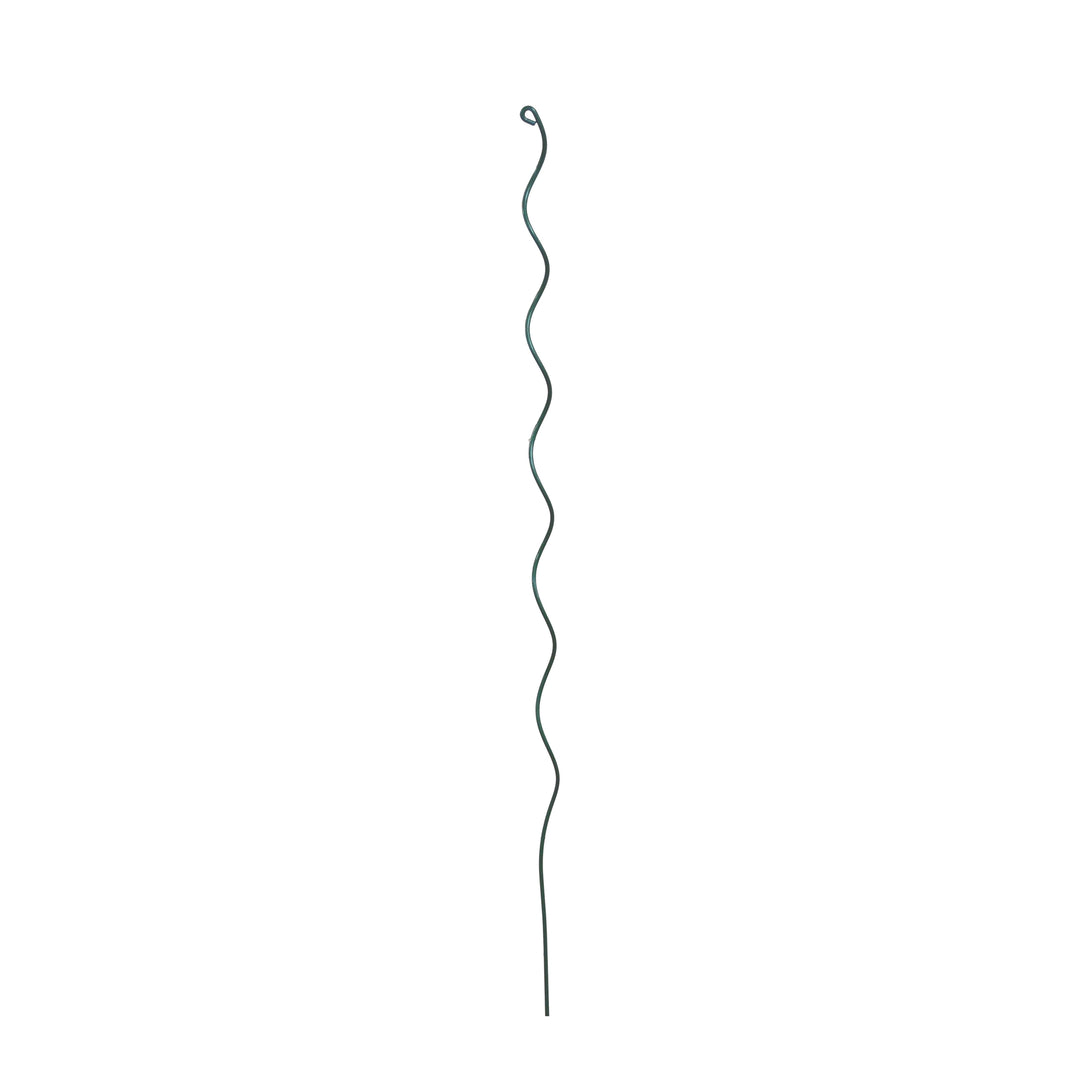Growing Spiral 60"