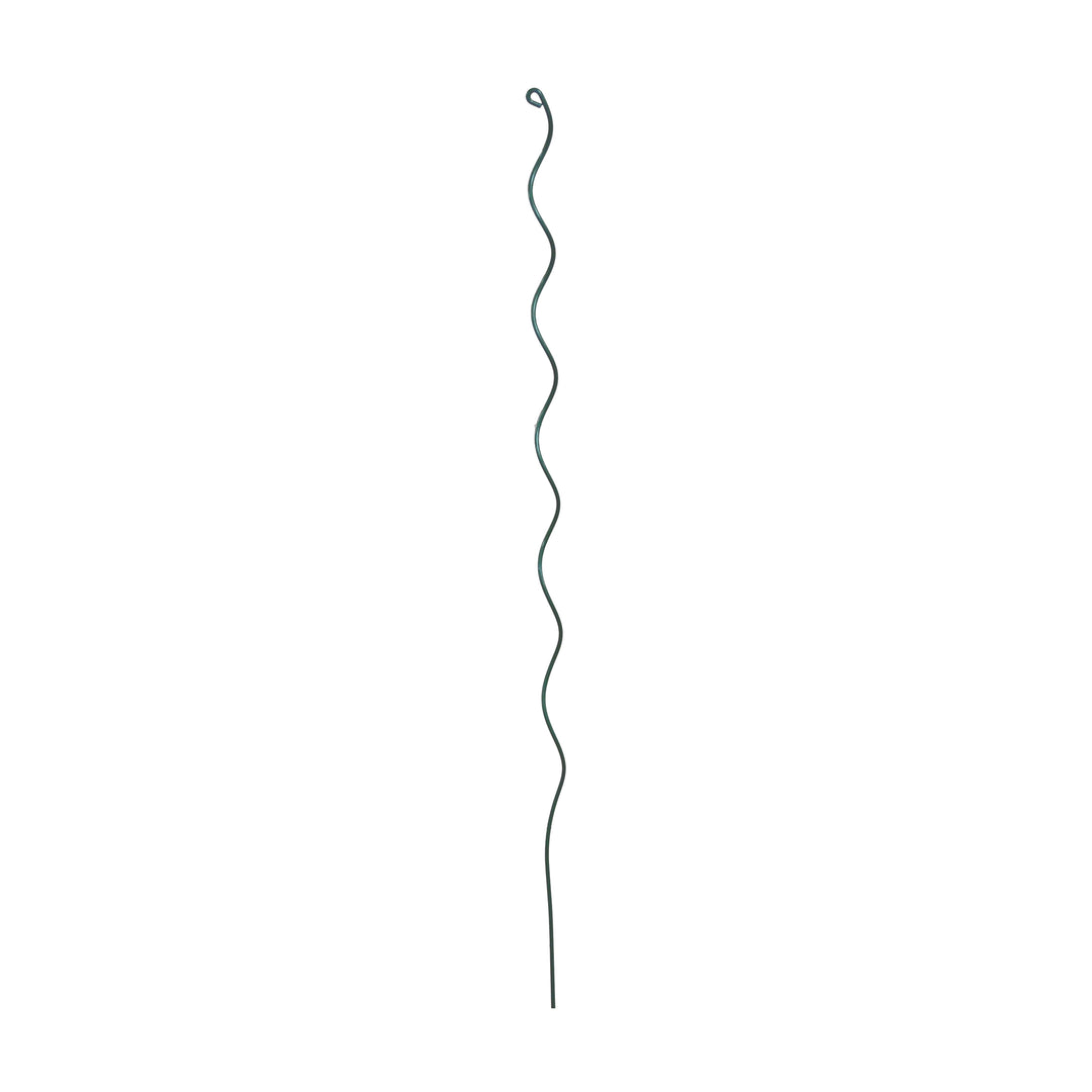 Growing Spiral 72"