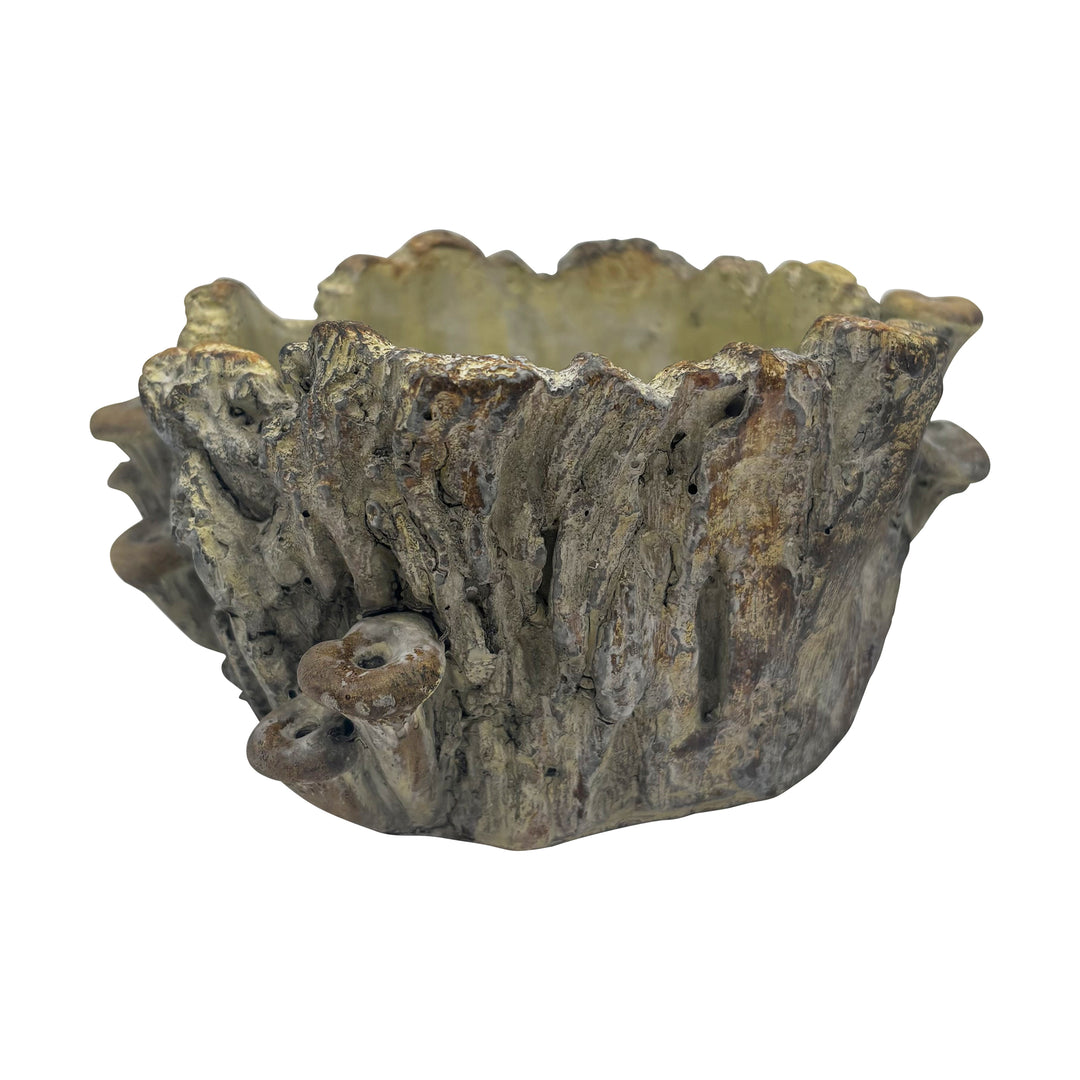 Log Planter With Mushrooms