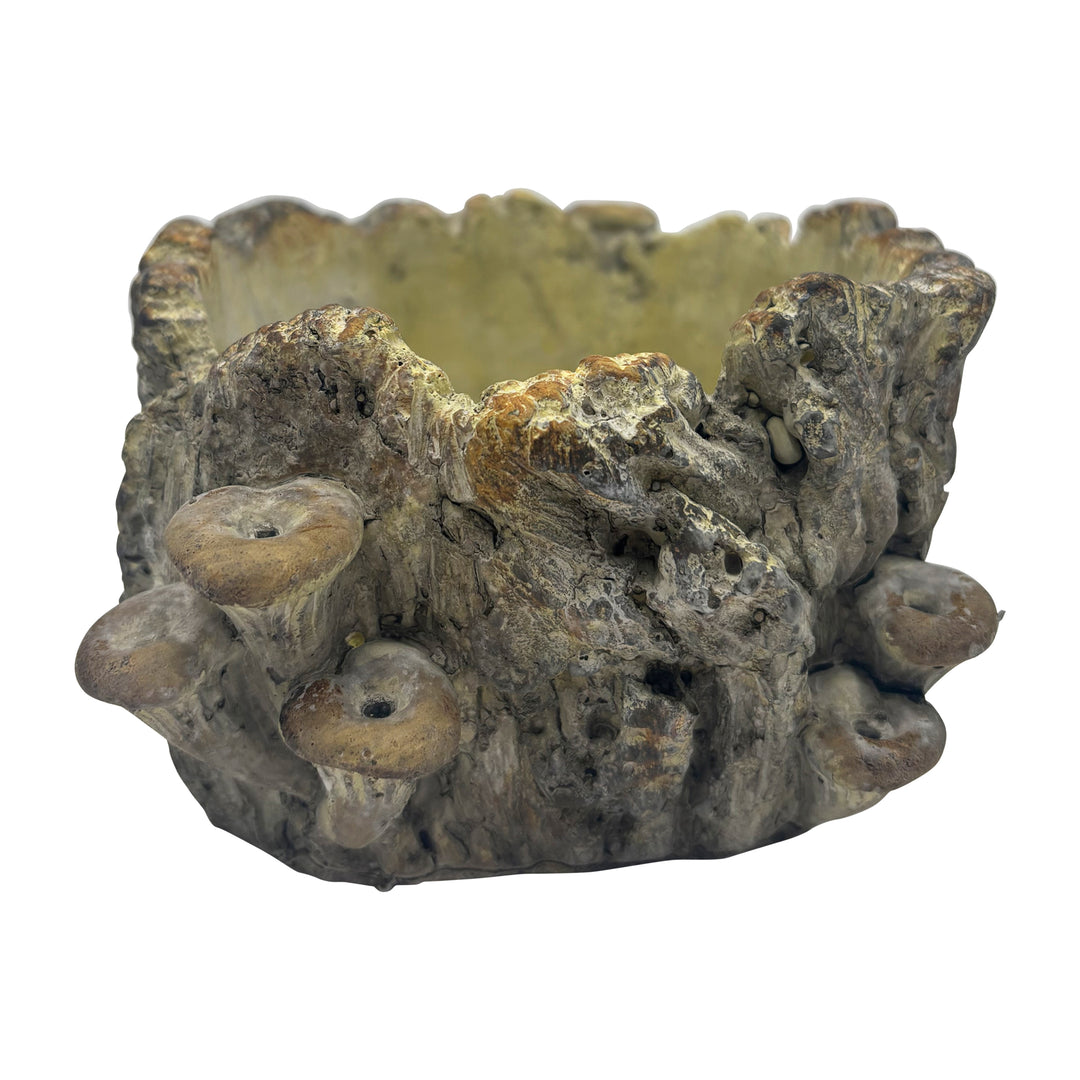 Log Planter With Mushrooms