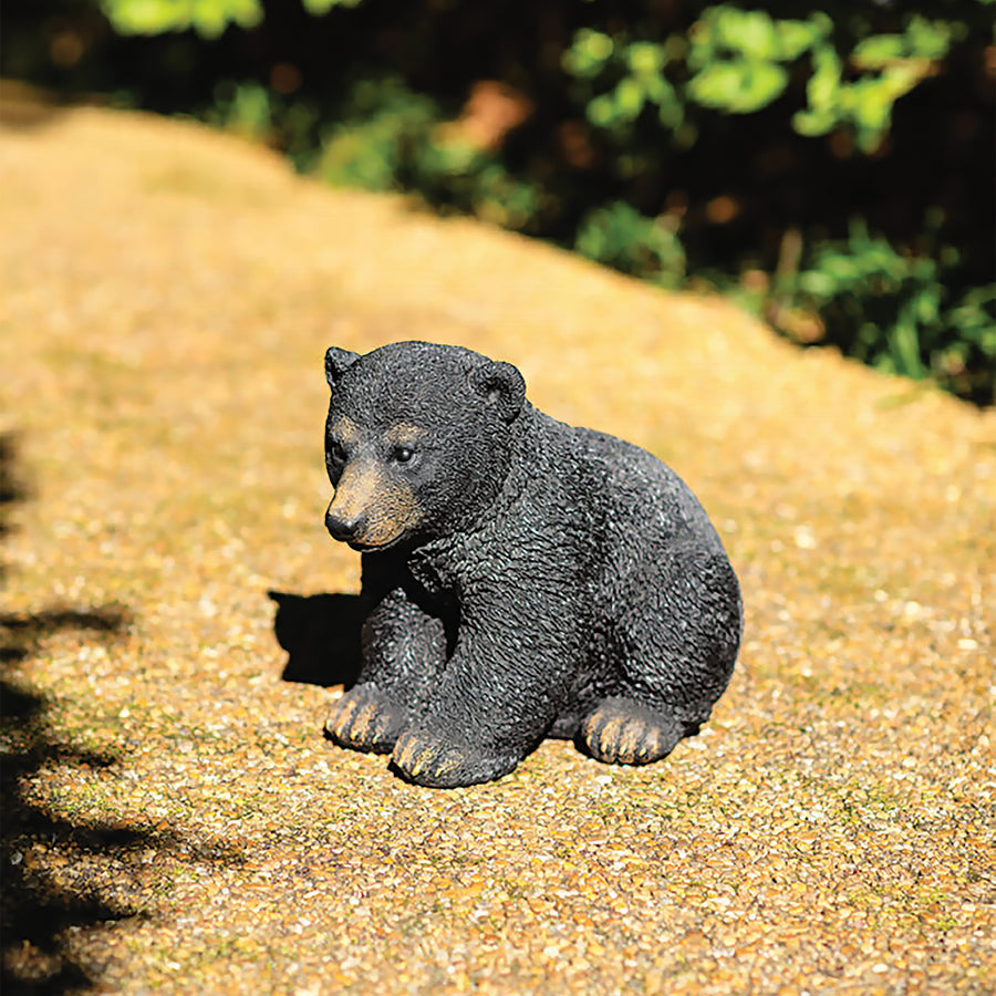 Bear Cub Sitting