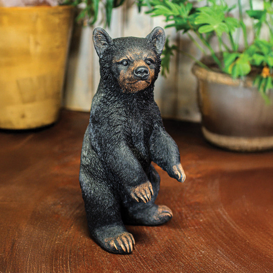 Bear Cub Standing