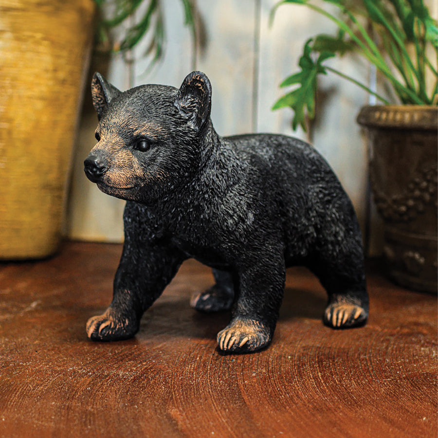 Bear Cub Walking