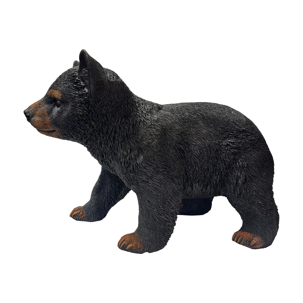 Bear Cub Walking