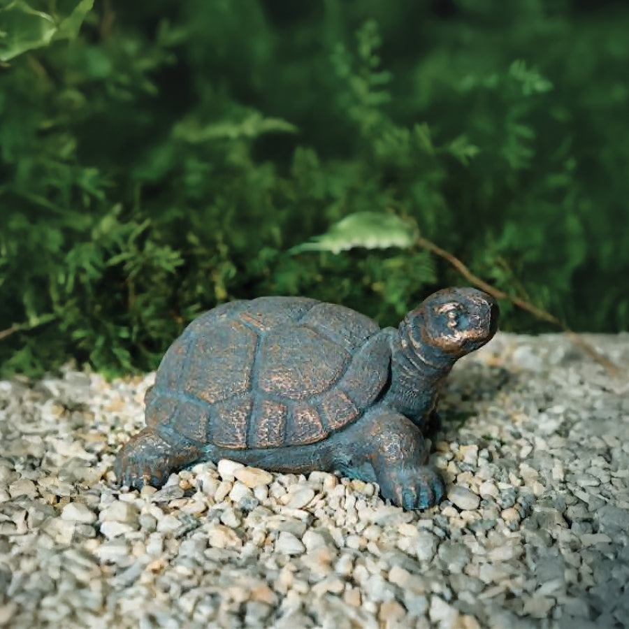 Toby Turtle