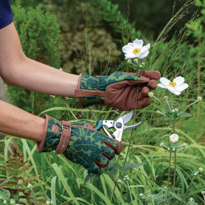 Love Glove Oak Leaf Collection