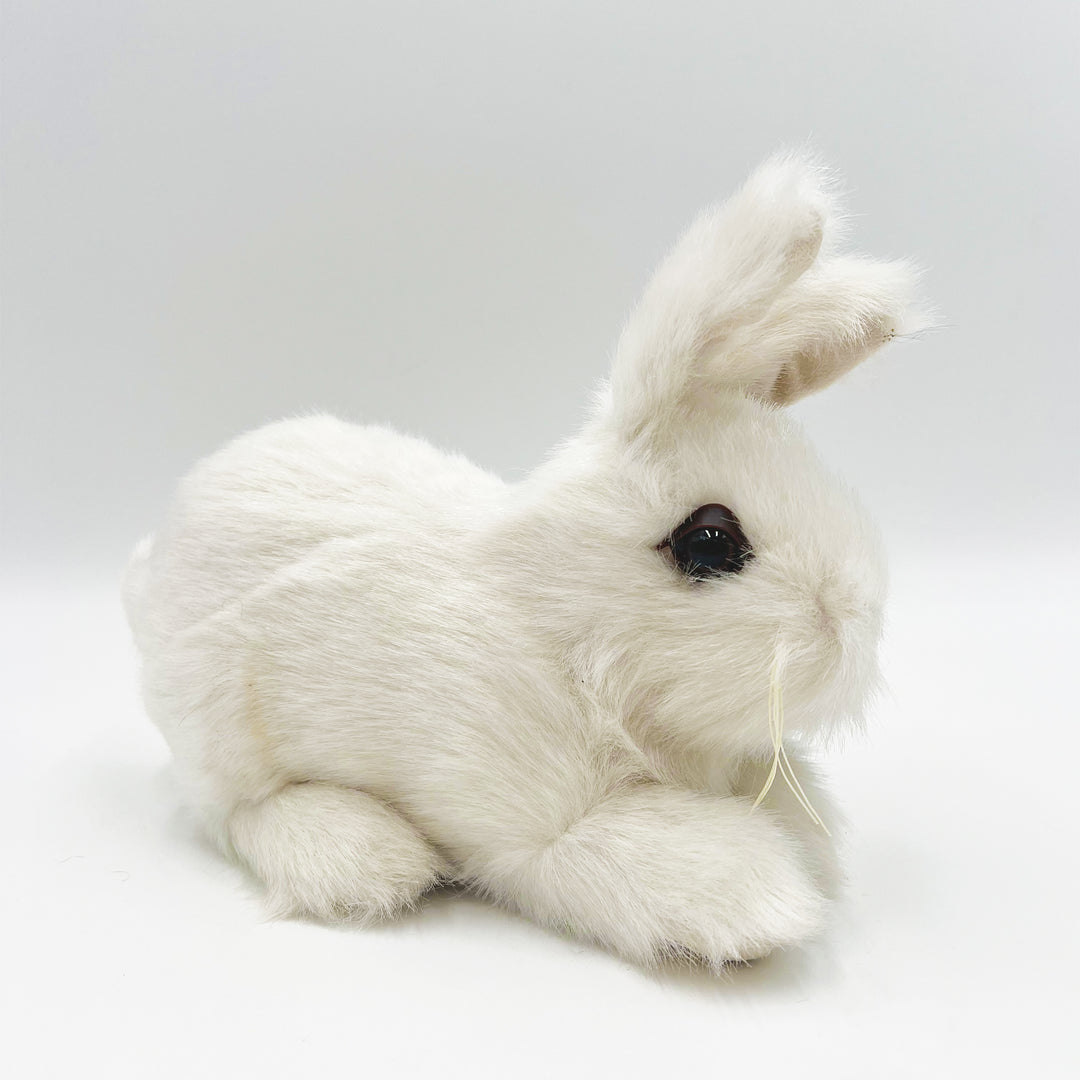 Baby Rabbit Hugs Soft Snowshoe