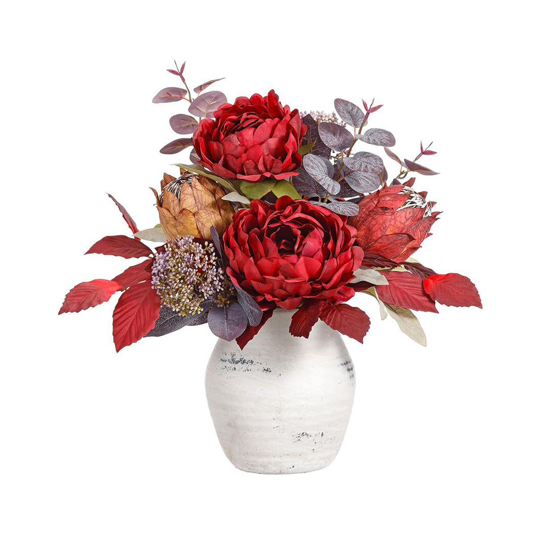 Burgundy Peony & Protea Collection Potted 15" Arrangement
