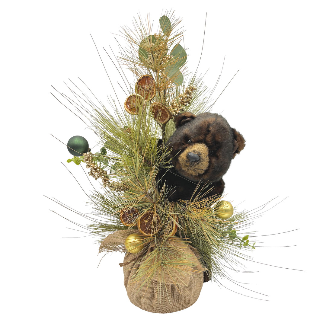 Cinnamon Bounty Tree Bear