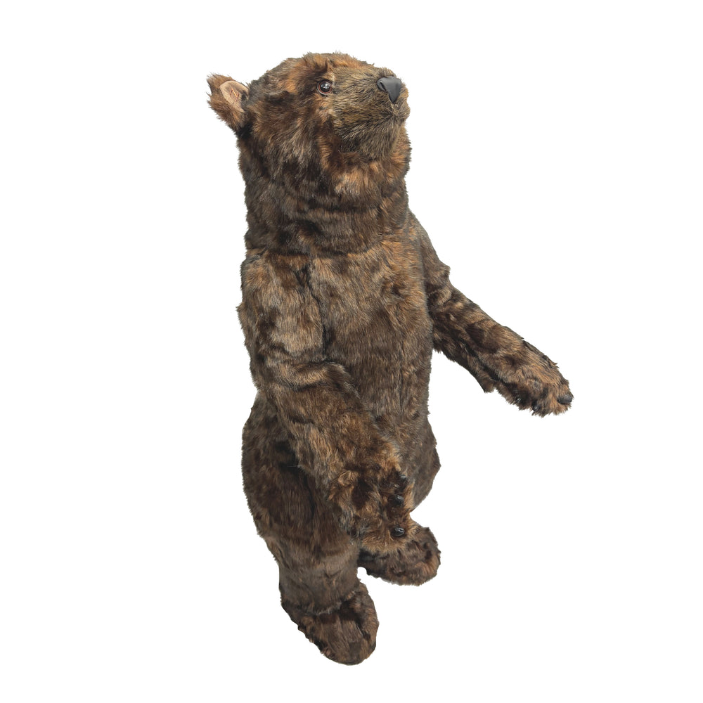Cinnamon Standing Bear