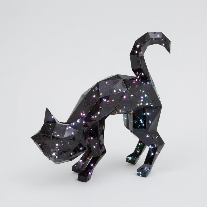 Holographic Lighted Halloween Cat