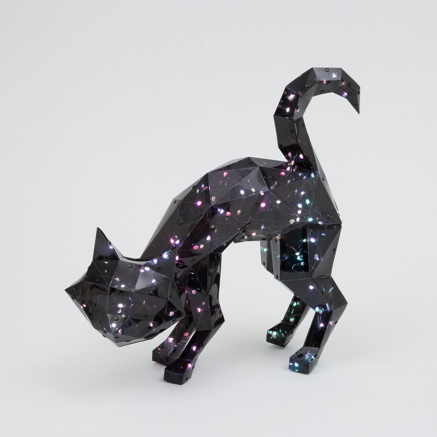 Holographic Lighted Halloween Cat