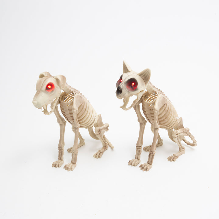 Animated Skeleton