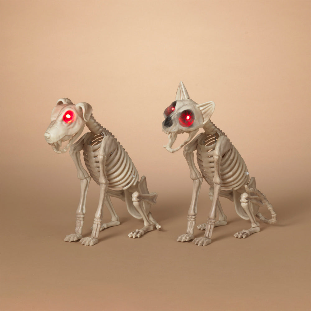 Animated Skeleton