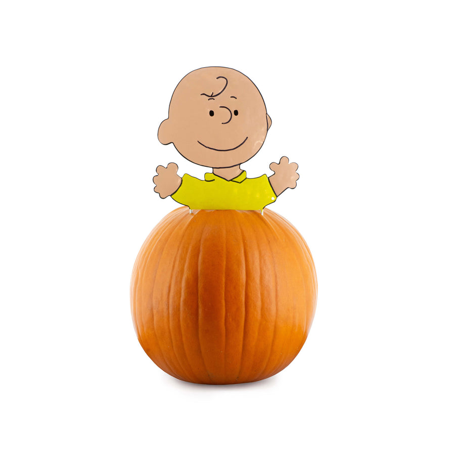 Peanuts Charlie Brown Pumpkin Stake