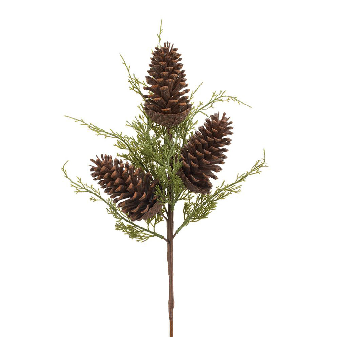 Big Pinecone Spray