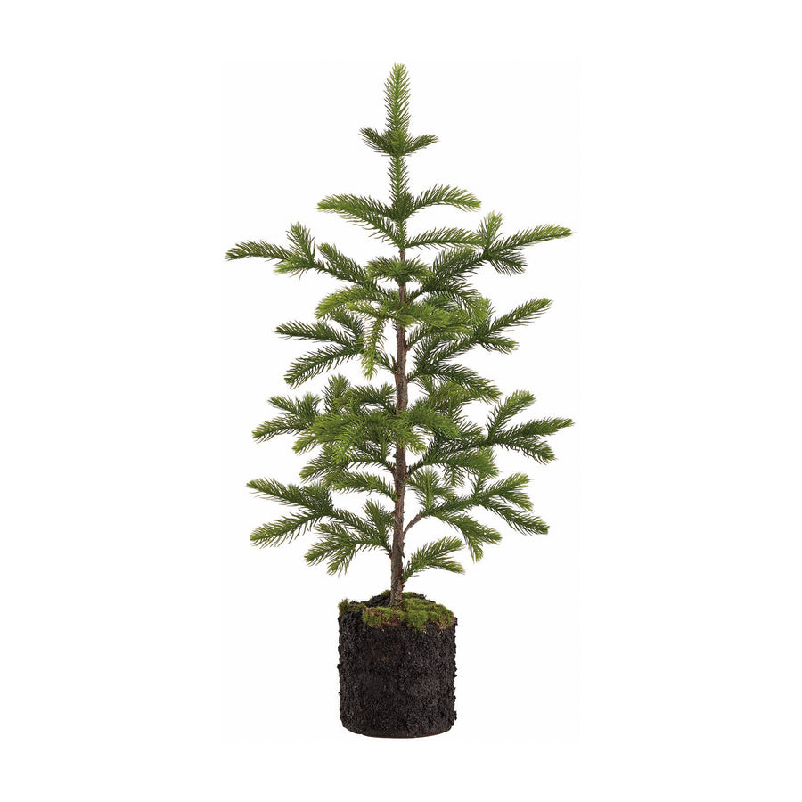 Artificial Pine Tree with Soil and Moss