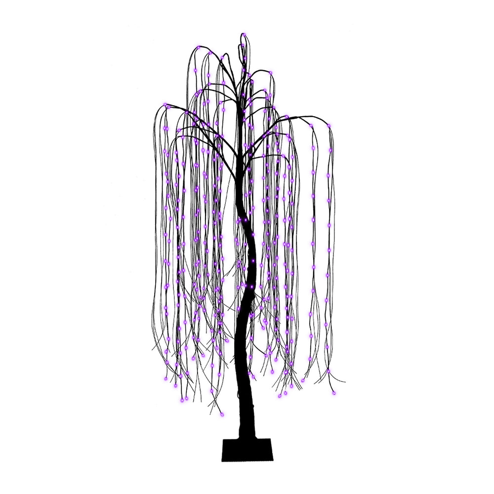 Spooky Willow Tree Purple
