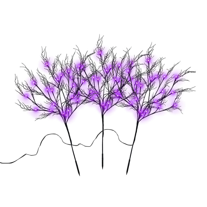 Spooky Branch 3-Pack Purple