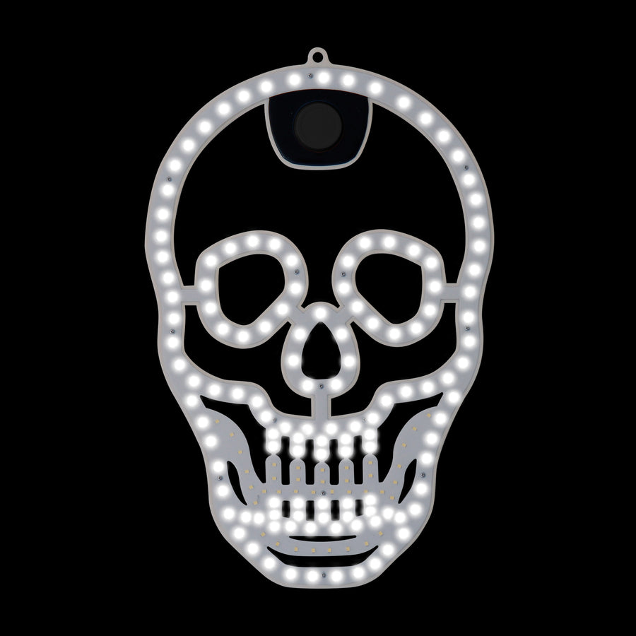 Hi-Vibrant Motion Skull