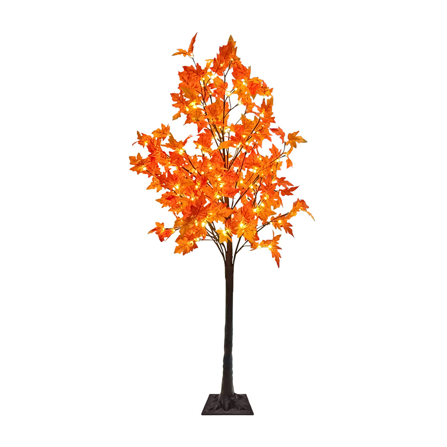 Orange Lit Maple Tree