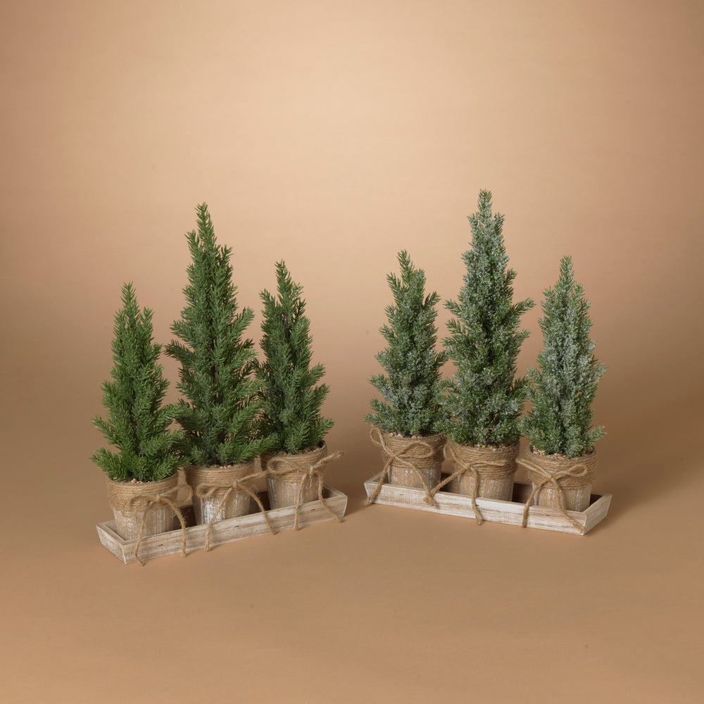 Holiday Potted Tree Set with Tray